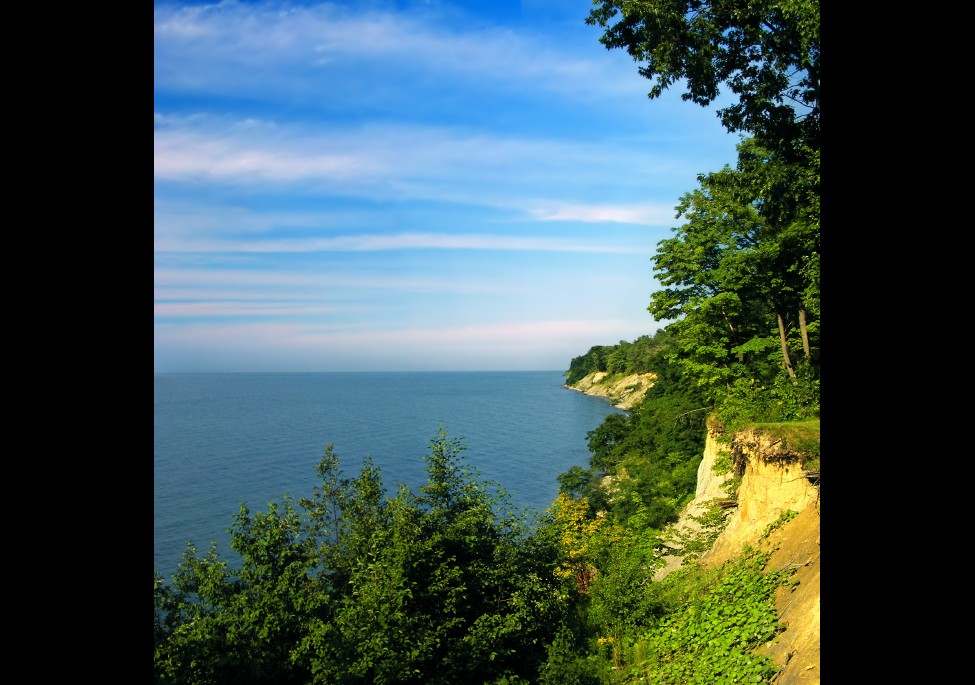 David M. Roderick Wildlife Reserve, Pennsylvania